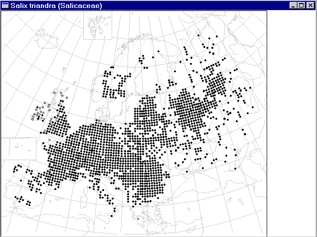 Map window