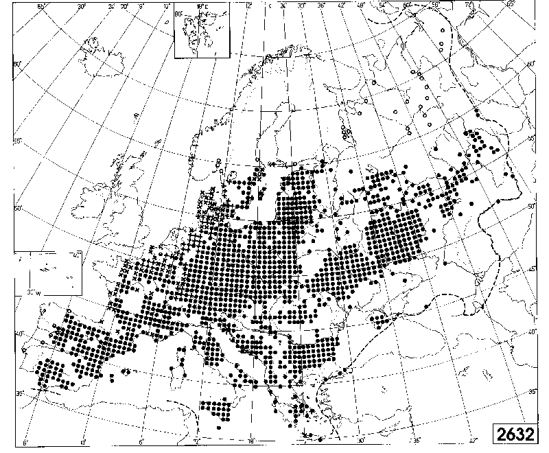 Distribution map of Neslia paniculata