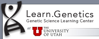 Genetic Science Learning Center