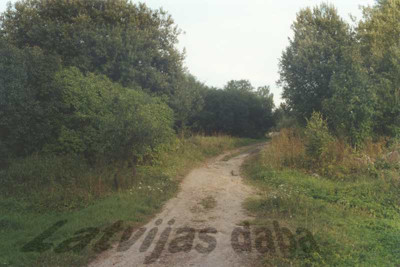 Limbaži, ceļš no Dūņezera, 1999. gada augusts