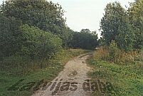 Limbaži, ceļš no Dūņezera, 1999. gada augusts