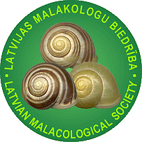LMB